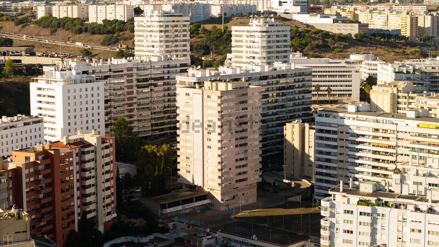 Vistas